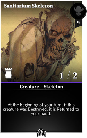 Skeleton